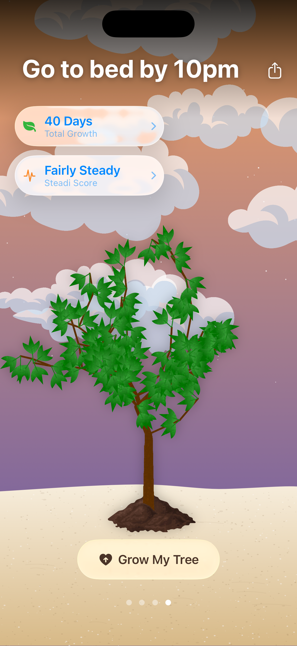 Steadia showing a growing tree at sunset